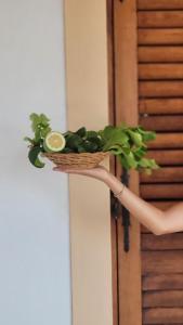 a basket with a plant and a lemon on a wall at Salina Castel Vinci in Rinella