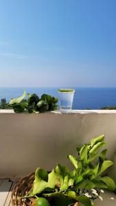 a plant sitting on a ledge with a glass at Salina Castel Vinci in Rinella