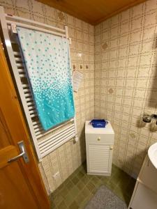 un piccolo bagno con lavandino e finestra di 1 room apt, kitchen, patio, in beautiful chalet a Les Diablerets