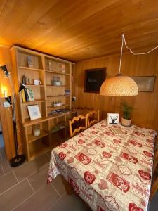 Postel nebo postele na pokoji v ubytování 1 room apt, kitchen, patio, in beautiful chalet