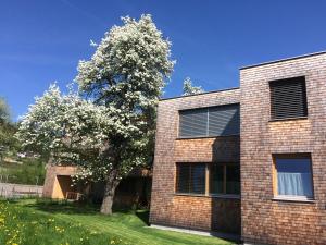 a brick house with a tree in front of it at Fantastische Penthousewohnung mit 100 m2 klimatisiert in Klaus