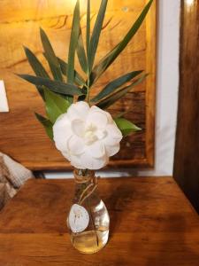 uma flor branca num frasco de vidro sobre uma mesa em POUSADA SERTÃO DA BOCAINA em Cunha