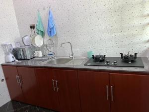 a kitchen with a sink and a counter top at Dodoma furnished Apartment in Dodoma