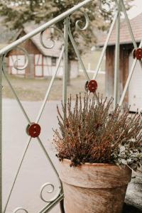 uma planta com vasos sentada numa cerca de metal em Ferienwohnung Ziegler em Ebersburg