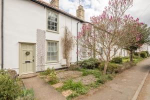 a white house with a green door and a tree at Charming Cambridge Cottage With Lovely Garden 