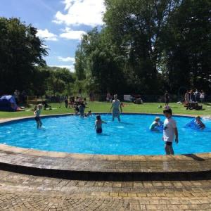 eine Gruppe von Menschen, die in einem Pool mit blauem Wasser spielen in der Unterkunft Charming Renovated Family Home in Cherry Hinton