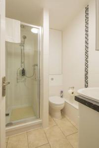 a bathroom with a shower and a toilet and a sink at Addenbrookes Flat 2 mins walk free Private Parking in Cambridge
