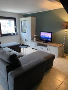 a living room with a couch and a flat screen tv at BG Apartments in Somogyhatvan
