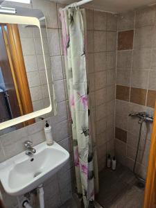 La salle de bains est pourvue d'un lavabo et d'un rideau de douche. dans l'établissement Nick's Place, à Thessalonique