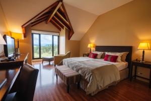 1 dormitorio con 1 cama grande y TV en Loi Suites Chapelco Hotel en San Martín de los Andes
