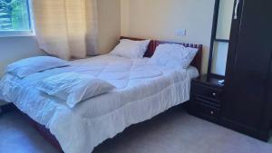 una camera da letto con letto, lenzuola e cuscini bianchi di SULTANA APPARTMENTS a Mwanza
