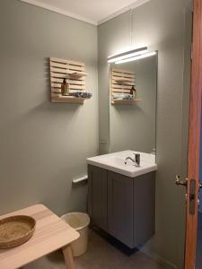 a bathroom with a sink and a mirror at Norsjøtunet in Akkerhaugen