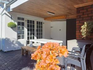 a patio with a table and chairs and a plant at Rees Cottage in Yzerfontein