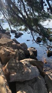 a view of the water with rocks and a tree at Apartments Bane in Herceg-Novi