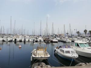 a bunch of boats are docked in a marina at MARINES DU ROUSSILLON 78 - EN RESIDENCE AVEC PISCINE PROCHE PLAGE in Saint-Cyprien