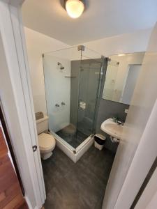 a bathroom with a shower and a toilet and a sink at Espacio Luxury Apartments- Edificio Alcanfores in Lima