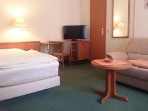 TV a/nebo společenská místnost v ubytování Hotel Evabrunnen