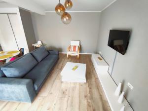 a living room with a blue couch and a tv at Mosnita Apartament in Moşniţa Nouă