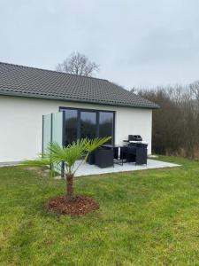 a house with a palm tree in the yard at NEU! Modernes Ferienhaus Schwanbeck in Dassow