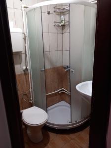 a bathroom with a shower with a toilet and a sink at HOTEL WIEN in Barakovići