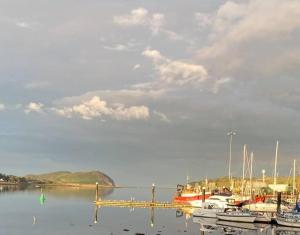 Priroda u blizini hotela