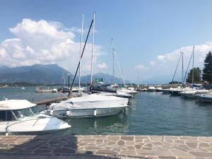 een stel boten aangemeerd in een haven bij La Maison du Port - Apartment with Pool in Manerba del Garda