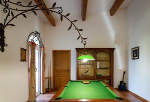 a living room with a green pool table at Villa Santa Reparata di Balagna in LʼÎle-Rousse