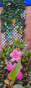 - un jardin avec des fleurs et des papillons en papier sur un mur dans l'établissement LA CASITA YALI, à San Martín de las Pirámides