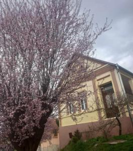 un árbol con flores rosas delante de una casa en Kiskassa Vendégház 2, 