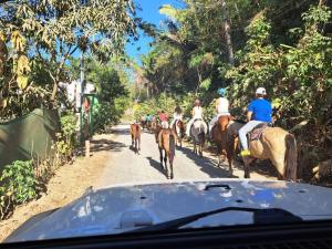 un groupe de personnes à cheval sur une route dans l'établissement House in the palm forest, à Carrillo