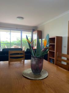 una planta en un jarrón sentado en una mesa en Apartamento Costa Do Sol V, en Funchal