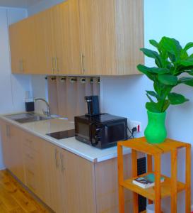 a kitchen with a microwave and a plant on a counter at The Zanzibar Beach House-North in Pingwe