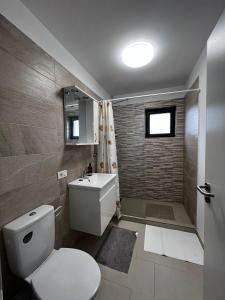 uma casa de banho com um WC, um lavatório e um chuveiro em Chisoda em Chişoda
