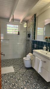 a bathroom with a toilet and a sink and a shower at Ocean Teal Villa Marazul in Westpunt
