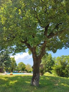 Zahrada ubytování Casa Vacanze "Dimora Quercia" - Villino "Quercia"