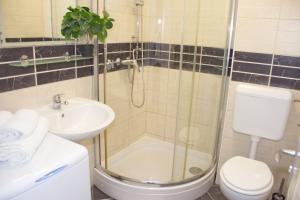 a bathroom with a shower and a toilet and a sink at Apartment MiraMar in Novalja +15 photos