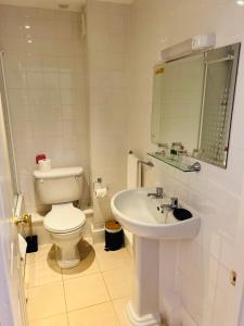 a white bathroom with a toilet and a sink at The Poachers Hotel in Boston