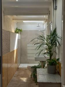 uma casa de banho com um vaso de plantas sobre uma mesa em Sunset house em Soo