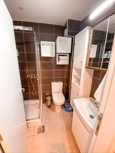 een kleine badkamer met een toilet en een wastafel bij Apartman DM in Zvezdara