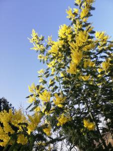 Fotografie z fotogalerie ubytování Casa Vacanze "Dimora Quercia" - Villino "Quercia" v destinaci Montefalco