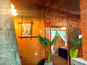 a living room with a plant in the corner of a room at Selnara Private Luxury Villa and Ayurveda Spa in Bentota