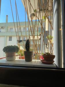 three potted plants sitting on a window sill at S'accabbadora Guest House in Alghero