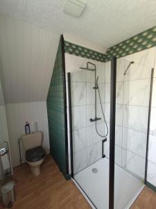 La salle de bains est pourvue d'une douche et de toilettes. dans l'établissement maison de village, à Chérencé-le-Roussel