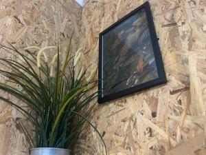 a picture hanging on a wall with a potted plant at 87029house in Scalea
