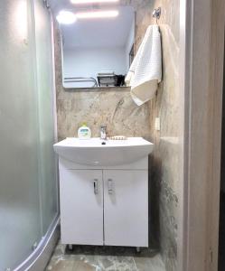 a bathroom with a white sink and a mirror at Apartment near Akropolis in Klaipėda +11 photos