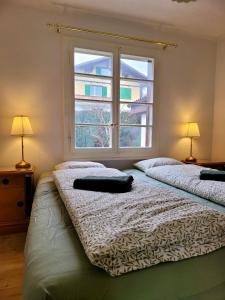 1 Schlafzimmer mit 2 Betten und einem Fenster in der Unterkunft Chalet Nature Park "Apartment Spiez" in Thun