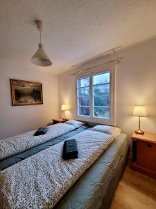 a bedroom with a large bed with a window at Chalet Nature Park "Apartment Spiez" in Thun