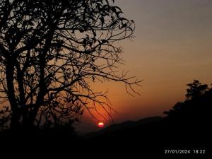 a silhouette of a tree with the sunset in the background at Kyathanamakki Base Camp Stay in Kalasa