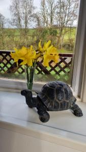 a turtle sitting on a window sill next to a vase of flowers at Turtle Lodges 29 - Riverside in Builth Wells