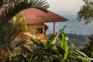 a tree house with a balcony in the jungle at Cabañas Casa de Niebla in Pluma Hidalgo